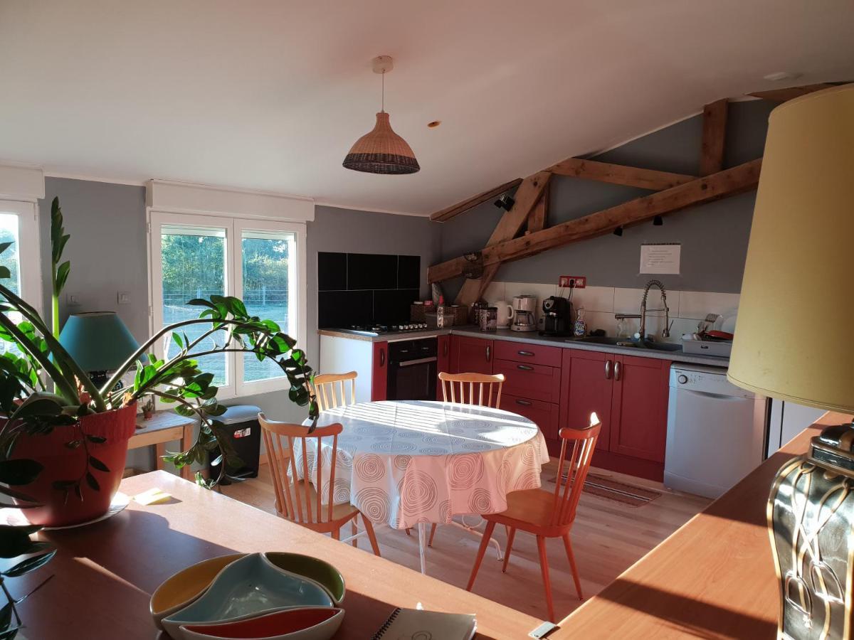Chambre D'Hote De L'Elevage Du Lattay Les Hauts-d'Anjou Eksteriør bilde