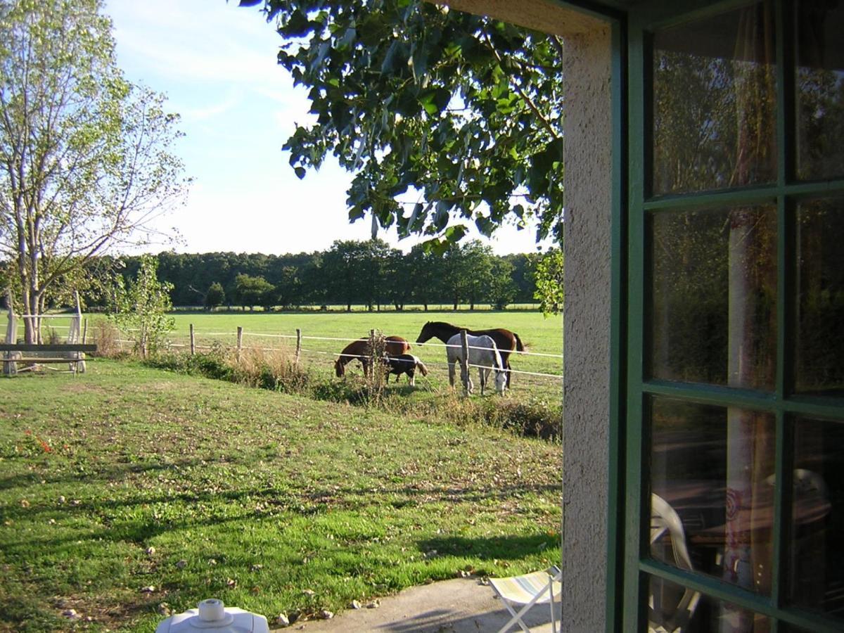 Chambre D'Hote De L'Elevage Du Lattay Les Hauts-d'Anjou Eksteriør bilde
